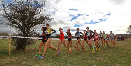 SELECCI&Oacute;N CTO. DE ESPA&Ntilde;A DE CLUBES DE CAMPO A TRAV&Eacute;S Y RELEVOS MIXTOS